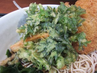 �t�e�V���� �{�R���b�P