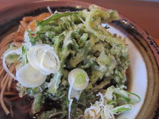 �������΁{�t�e�V�{�ʂ˂��V